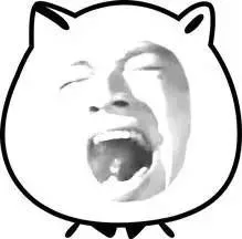 （白色小猫脸明星脸_动图）