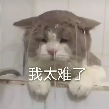 我太难了（我太难了）