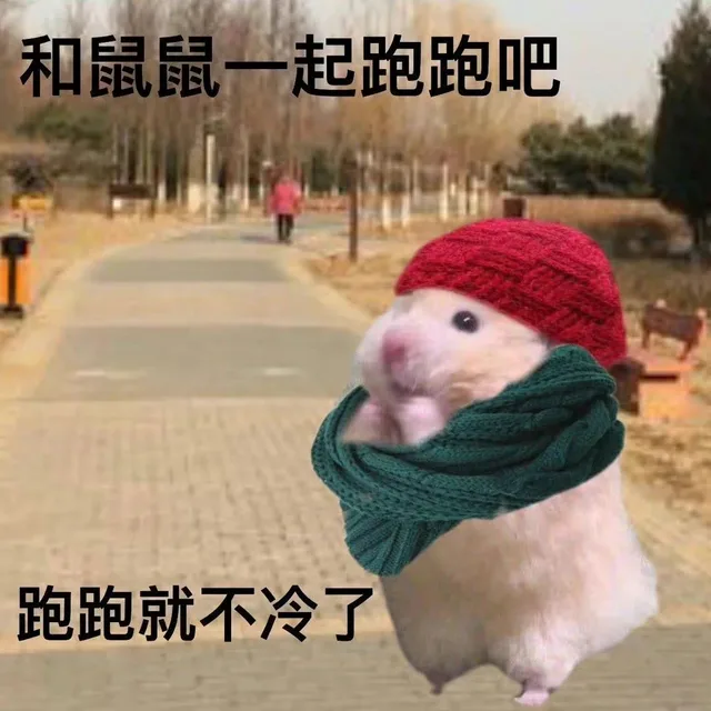 和鼠鼠一起跑跑吧跑跑就不冷了（和鼠鼠一起跑跑吧跑跑就不冷了）