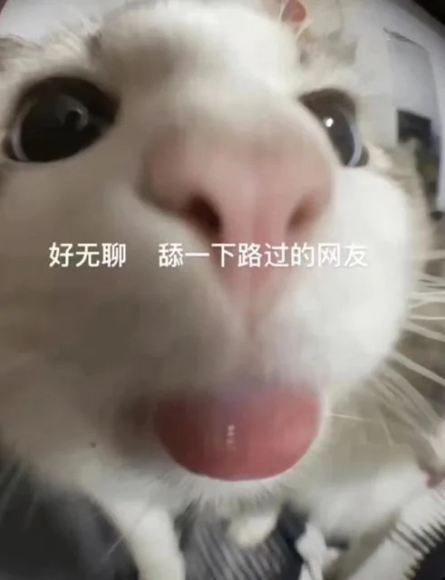 好无聊舔一下路过的网友（好无聊舔一下路过的网友）