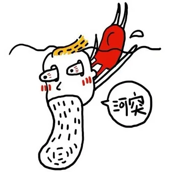河突（河突）