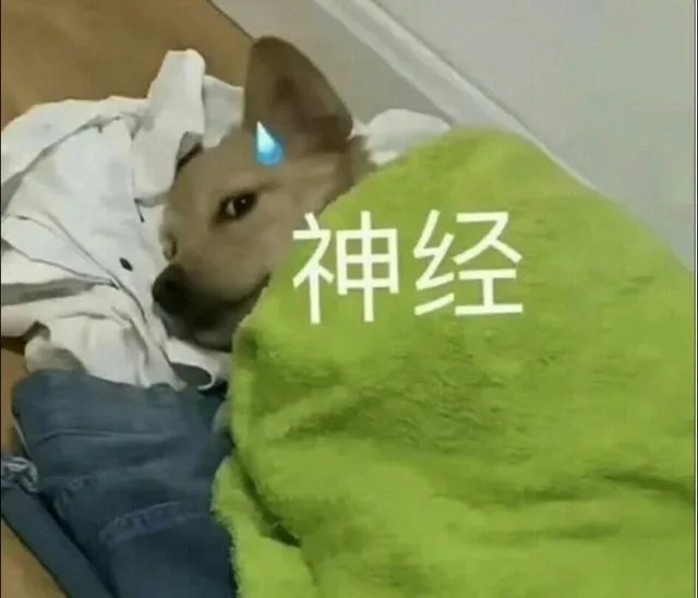 神经（神经）