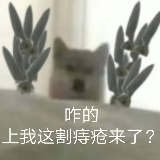 咋的上我这割痔疮来了?