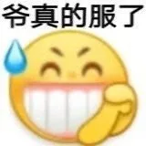 爷真的服了（爷真的服了）
