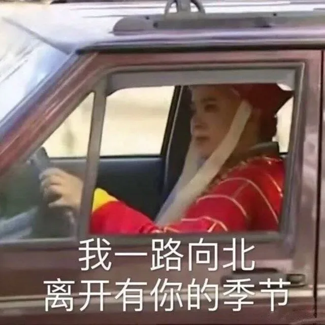 我一路向北离开有你的季节（我一路向北离开有你的季节）