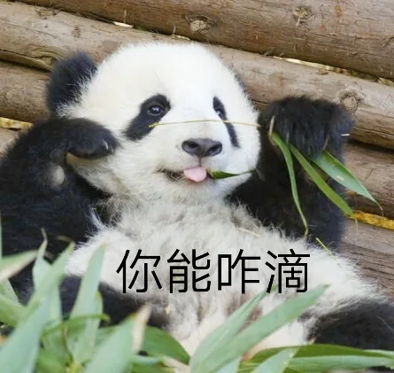 你能咋滴