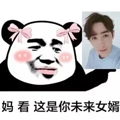 妈，这是你未来女婿_明星表情