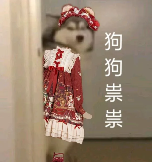 狗狗祟祟换装（狗狗祟祟换装）