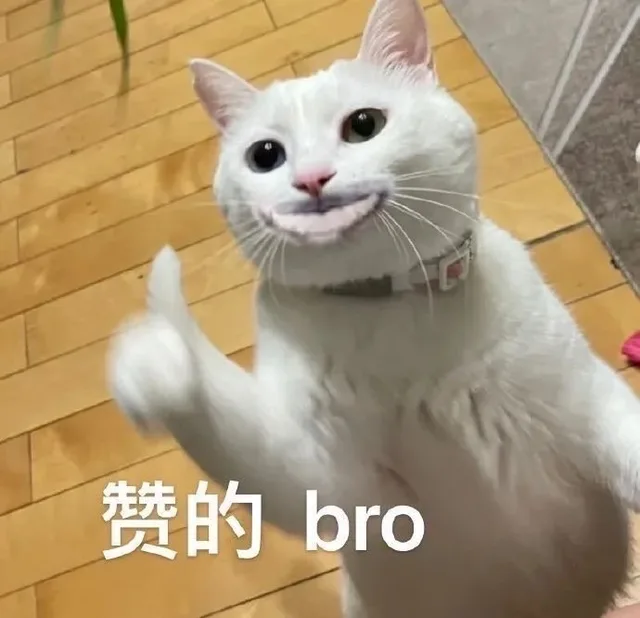 赞的bro(猫猫表情包)（赞的bro(猫猫表情包)）