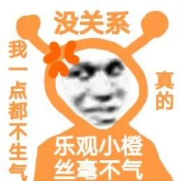没关系我一点都不生气真的乐观小橙丝毫不气（没关系我一点都不生气真的乐观小橙丝毫不气）