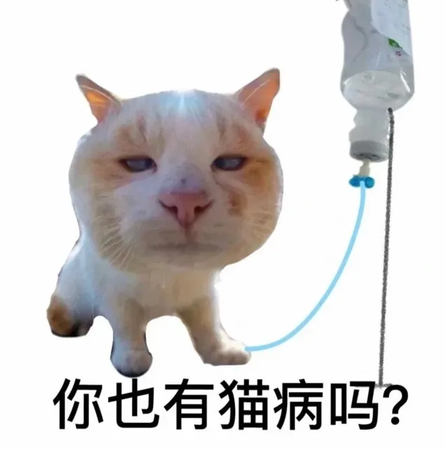 你也有猫病吗？（你也有猫病吗？）