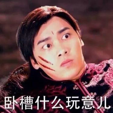 卧槽什么玩意儿（卧槽什么玩意儿）