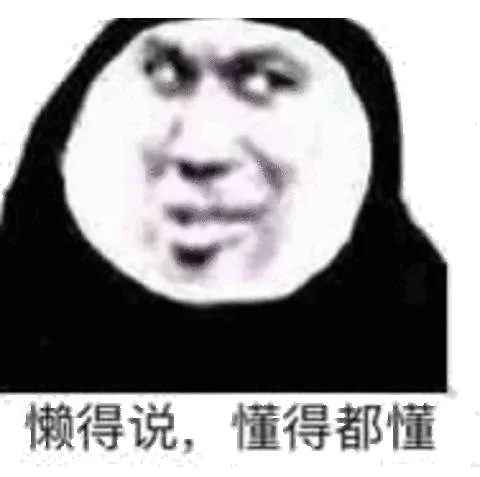 懒得说懂得都懂（懒得说懂得都懂）
