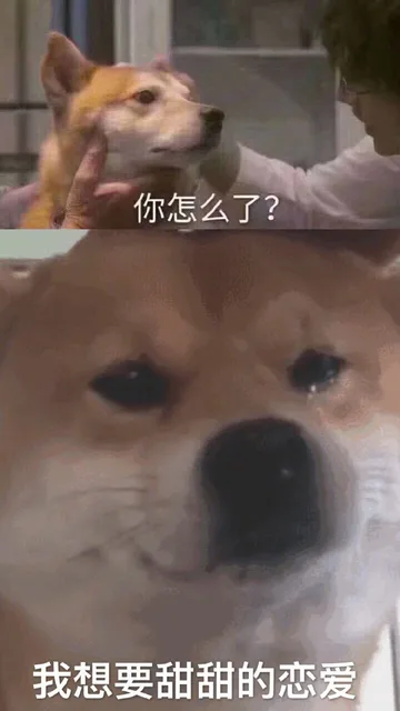 你怎么了？我想要甜甜的恋爱（你怎么了？我想要甜甜的恋爱）