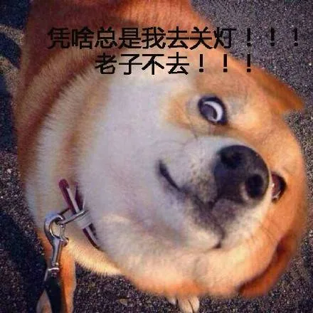 凭啥总是我去关灯，老子不去！！（凭啥总是我去关灯，老子不去！！）