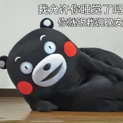 我允许你睡觉了吗，你就跟我说晚安（我允许你睡觉了吗，你就跟我说晚安）