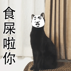 小猫惊恐表情_小猫