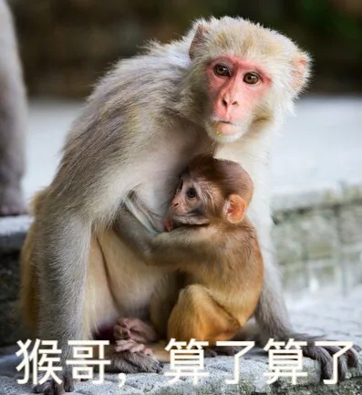 猴哥，算了算了（猴哥，算了算了）