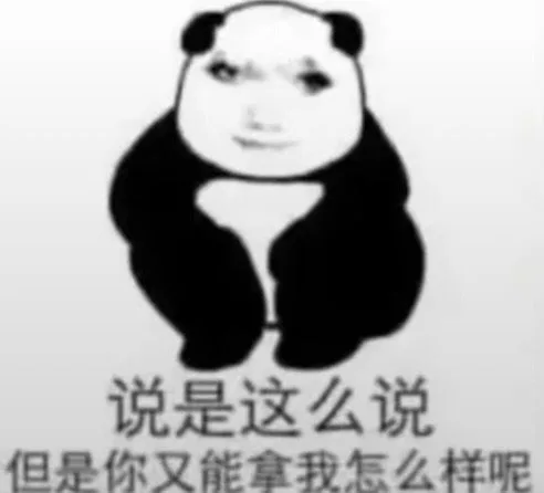 说是这么说但是你又能拿我怎么样呢（说是这么说但是你又能拿我怎么样呢）
