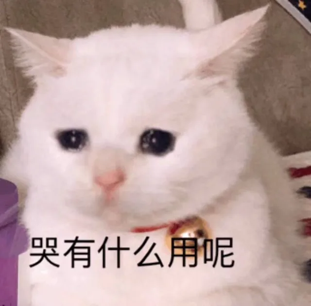 哭有什么用呢（哭有什么用呢）