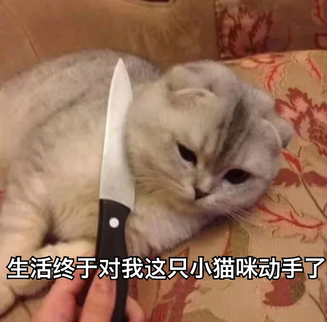 生活终于对我这只小猫咪动手了（生活终于对我这只小猫咪动手了）