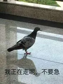 我正在走呢，不要急