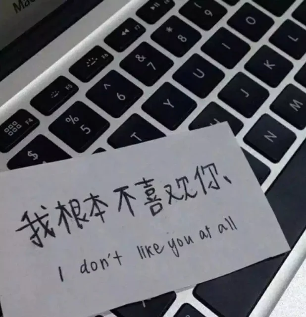 我根本不喜欢你