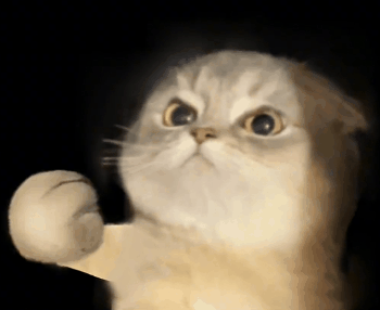 O(喵喵拳 GIF 动图)（O(喵喵拳 GIF 动图)）