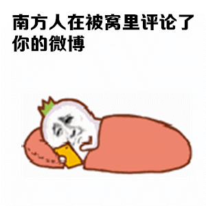 南方人过冬靠的是一身正气！！！_罗罗布金馆长_罗罗布_搞笑