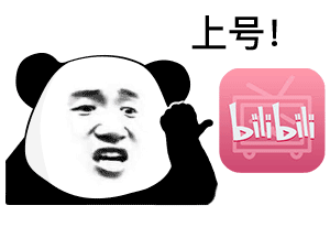 上号 bilibili
