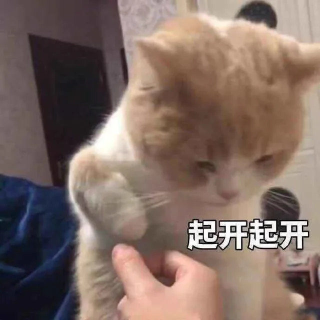 起开起开（起开起开）