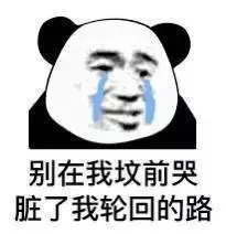 别在我坟前哭，脏了我轮回的路
