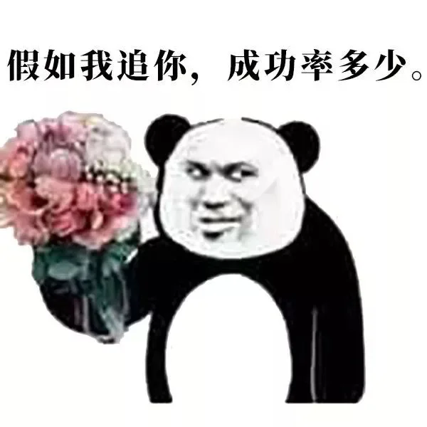 假如我追你，成功率多少？ （熊猫头）