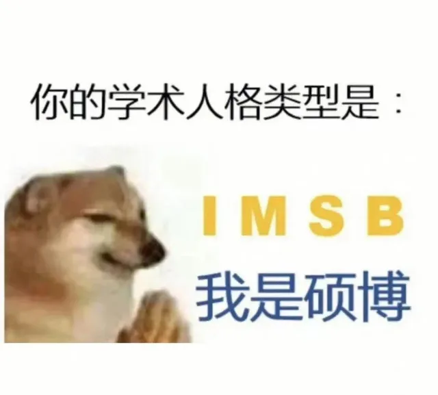 你的学术人格类型是：IMSB我是硕博（你的学术人格类型是：IMSB我是硕博）