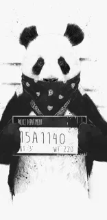 卡通壁纸