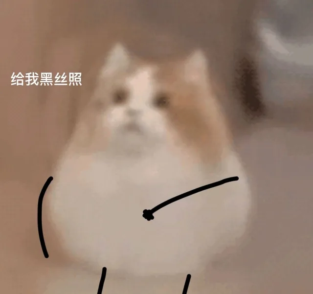 给我黑丝照