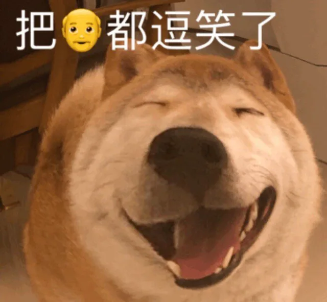 把爷都都笑了（大嘴狗表情包）（把爷都都笑了（大嘴狗表情包））
