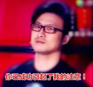 你已成功引起了我的注意！