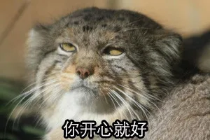 你开心就好