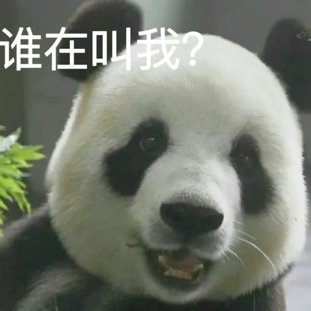 谁在叫我？（谁在叫我？）