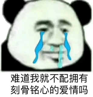 熊猫头单身狗表情包系列表情包