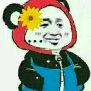 插红花