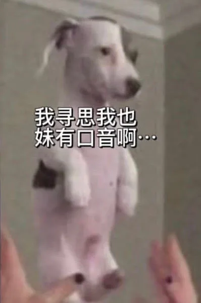 我寻思我也妹有口音啊