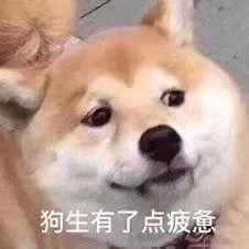 狗生有了点疲惫（狗生有了点疲惫）