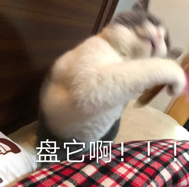 盘它啊！！
