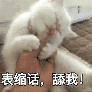 表缩话，舔我（表缩话，舔我）