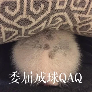 委屈成球 QAQ