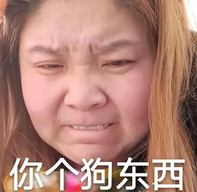 你个狗东西（郭老师表情包）