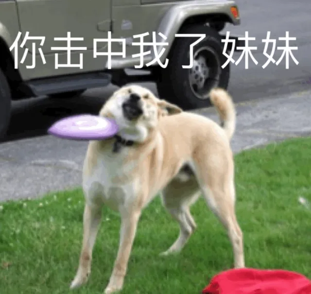 你击中我了 妹妹（你击中我了 妹妹）