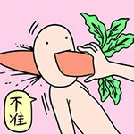 不准（不准）